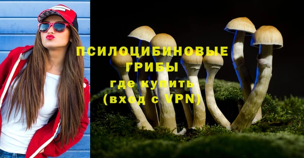 тгк Алексеевка
