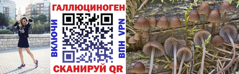 Галлюциногенные грибы Cubensis  Сортавала 